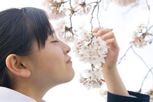 上井草エリアで評判の良い塾を徹底比較！2025年最新の選び方とポイント